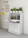 MULTIUSE CABINET WHITE